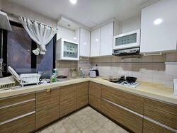 Dover Parkview (D5), Condominium #488065471